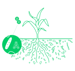 Studio Annette Fischer