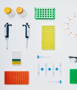 Studio Annette Fischer