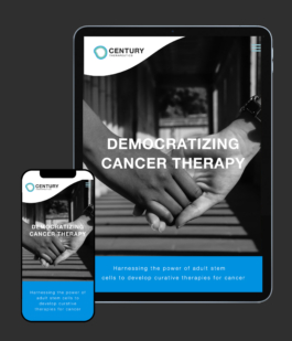 Studio Annette Fischer