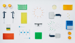  Studio Annette Fischer