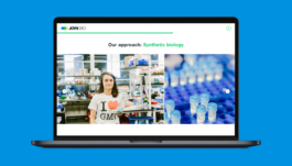 Studio Annette Fischer