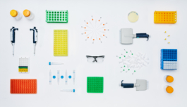  Studio Annette Fischer