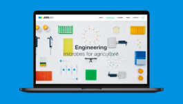  Studio Annette Fischer