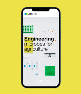 Studio Annette Fischer