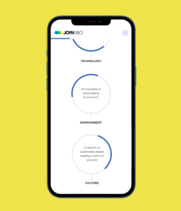 Studio Annette Fischer