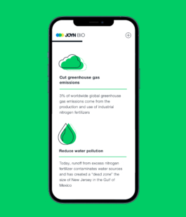 Studio Annette Fischer