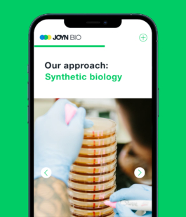 Studio Annette Fischer