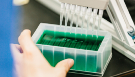 Studio Annette Fischer