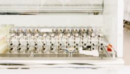 Studio Annette Fischer