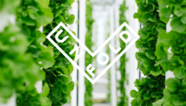 Studio Annette Fischer