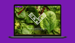 Studio Annette Fischer