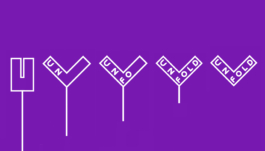 Studio Annette Fischer