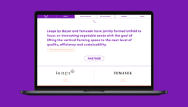 Studio Annette Fischer