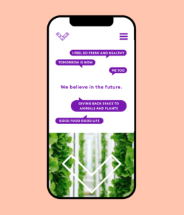 Studio Annette Fischer