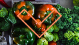 Studio Annette Fischer