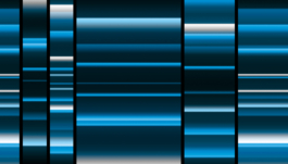 Studio Annette Fischer