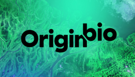  Studio Annette Fischer