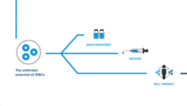  Studio Annette Fischer