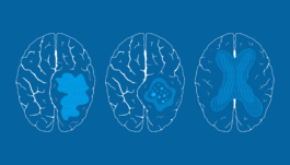  Studio Annette Fischer