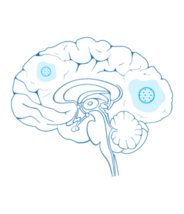 Studio Annette Fischer