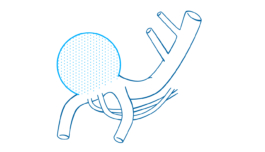 Studio Annette Fischer