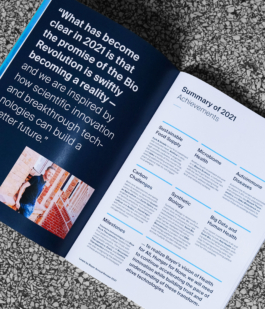 Studio Annette Fischer