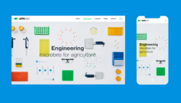  Studio Annette Fischer