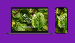  Studio Annette Fischer