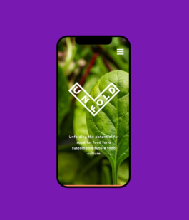 Studio Annette Fischer