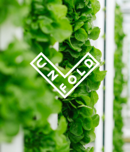 Studio Annette Fischer